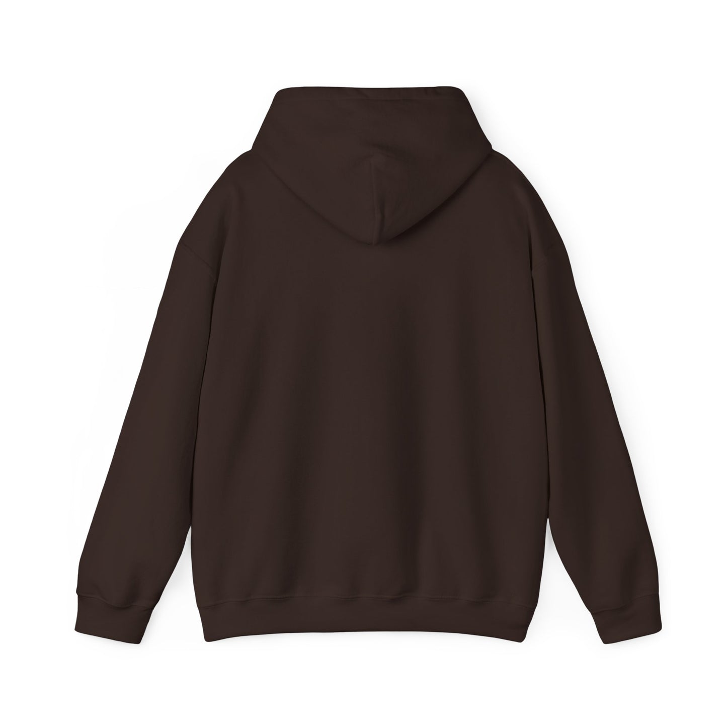 BareBear Cozy Black Bear Hoodie for Nature Lovers