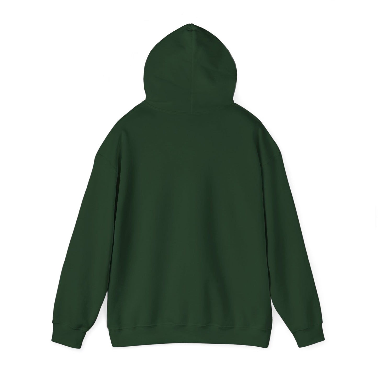 BareBear Cozy Black Bear Hoodie for Nature Lovers