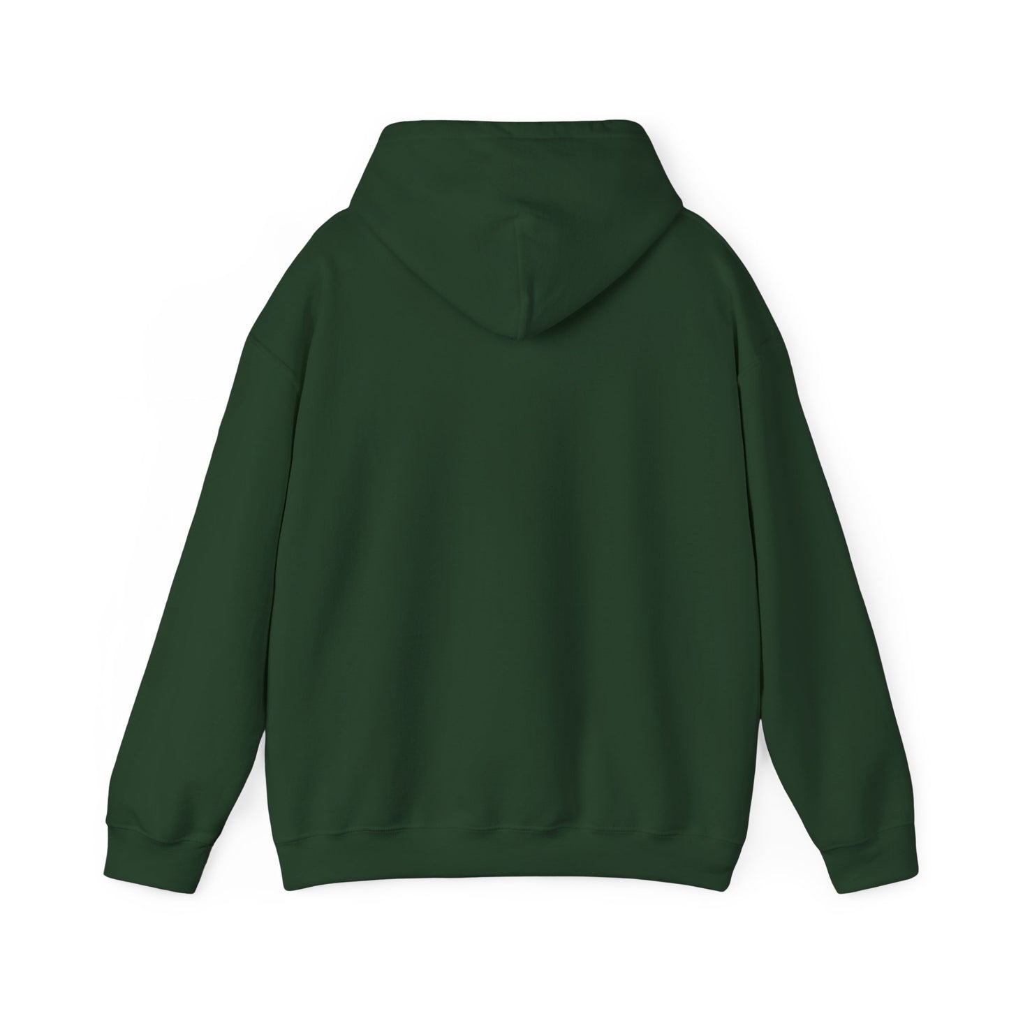 BareBear Cozy Black Bear Hoodie for Nature Lovers