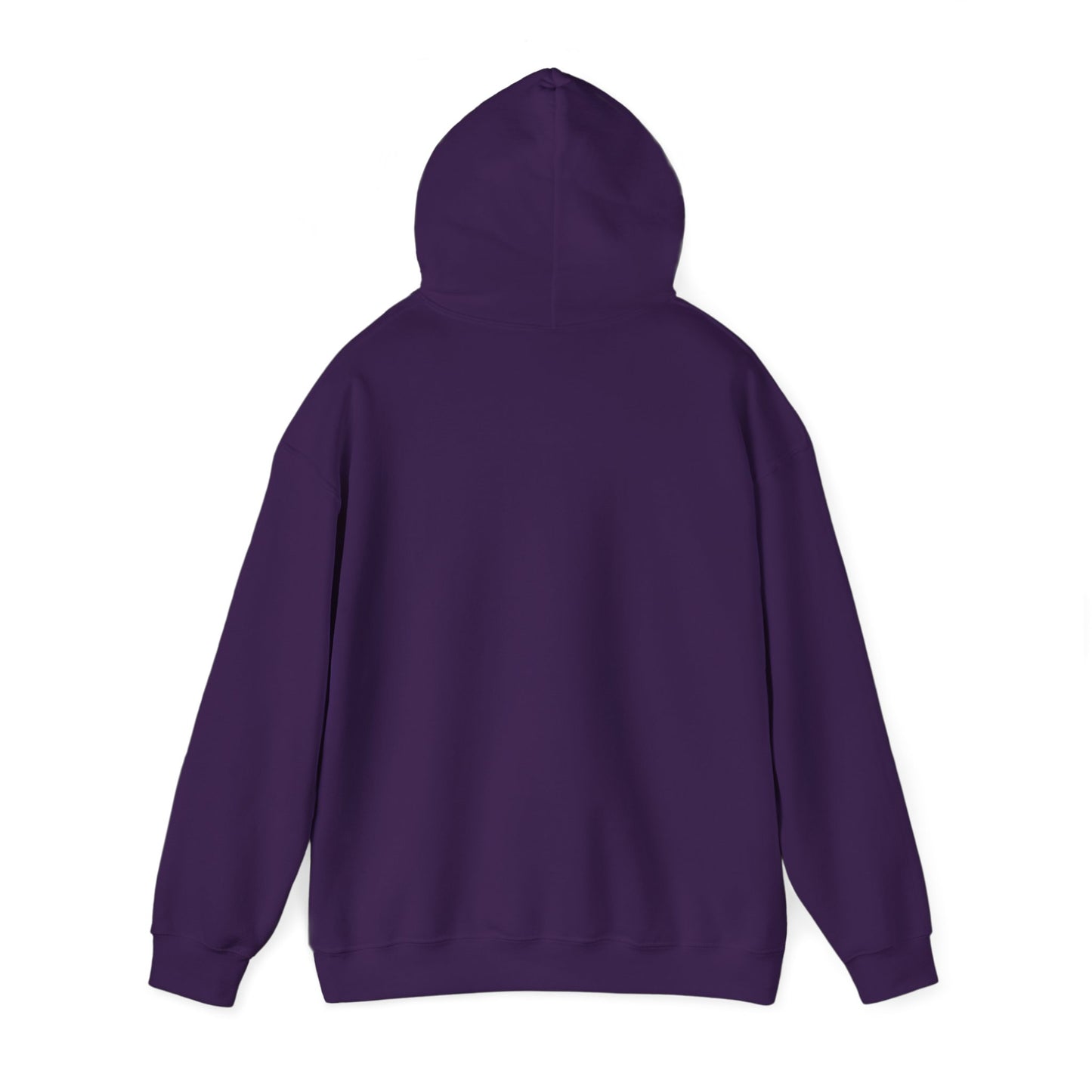BareBear Cozy Black Bear Hoodie for Nature Lovers