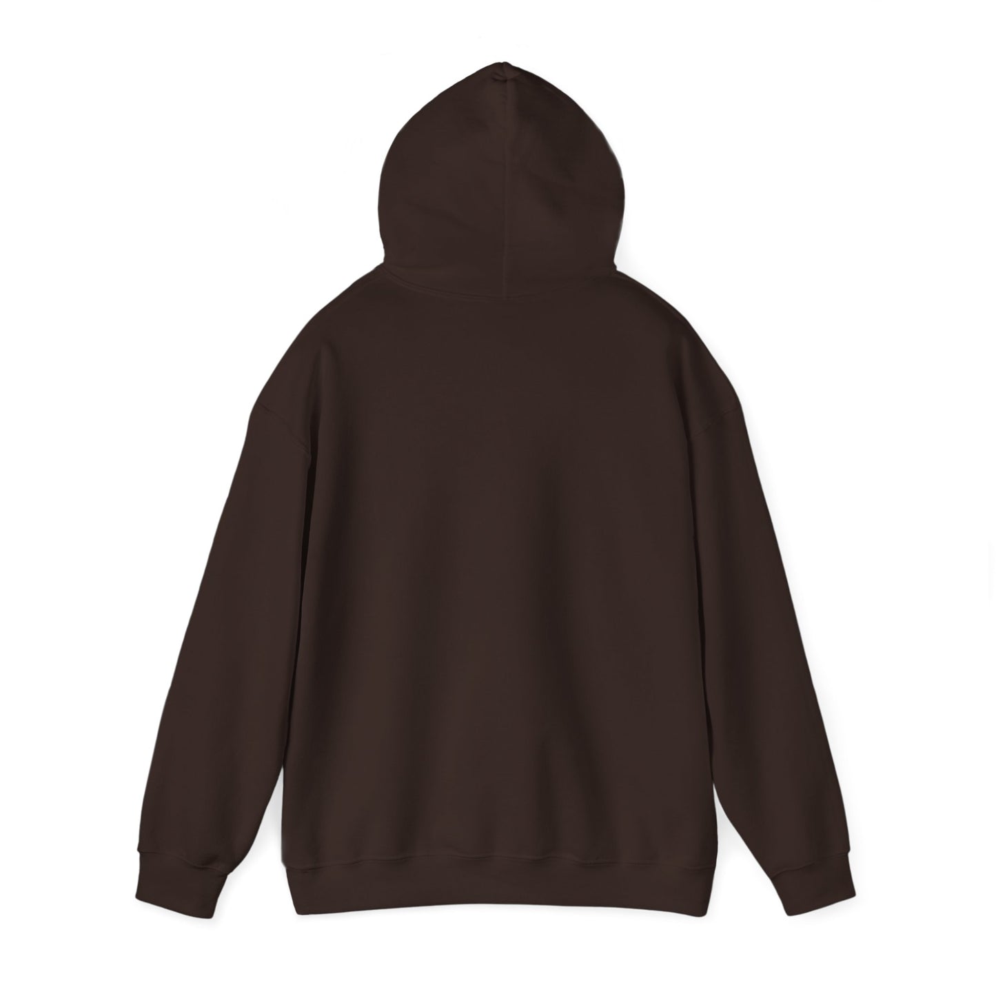 BareBear Cozy Black Bear Hoodie for Nature Lovers