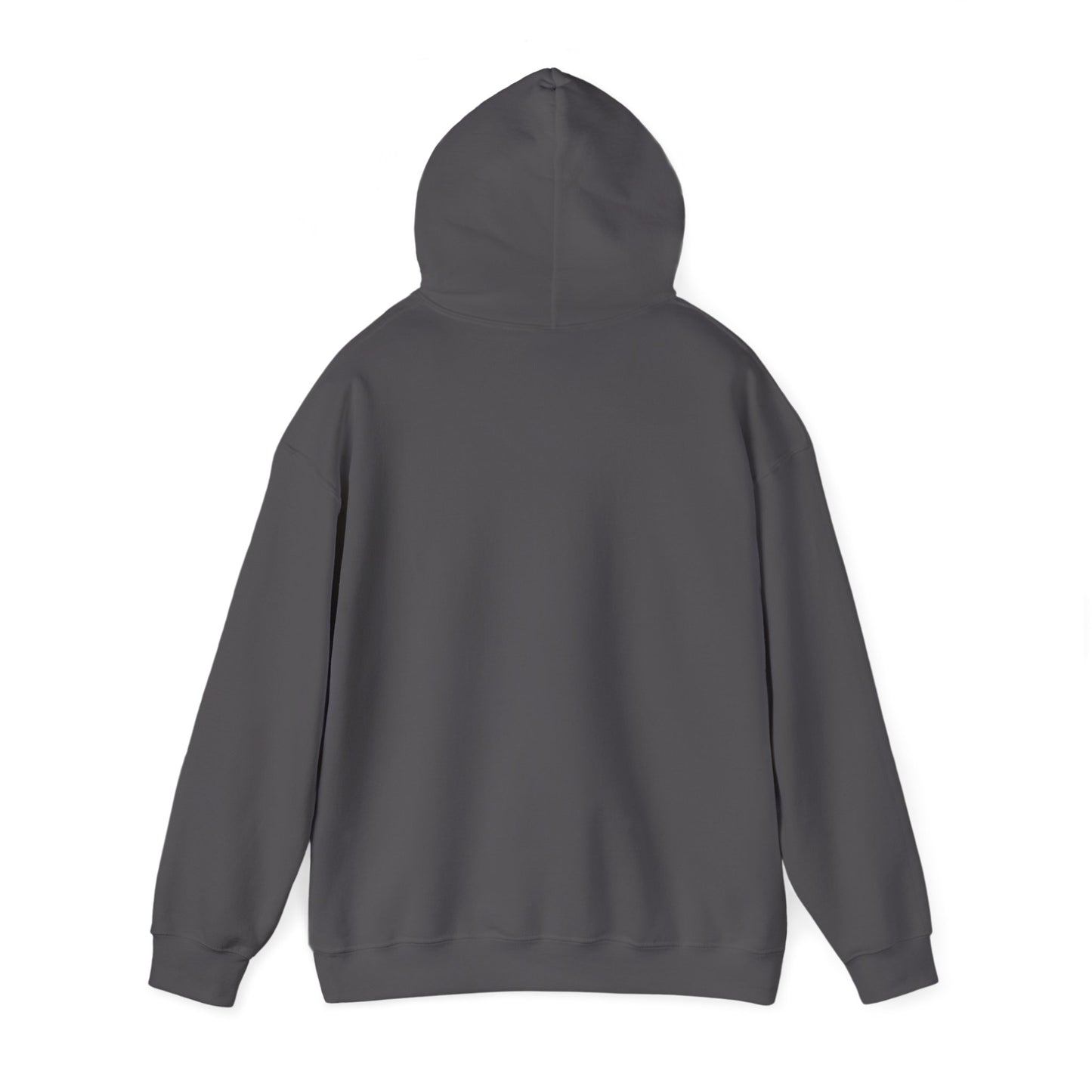 BareBear Cozy Black Bear Hoodie for Nature Lovers