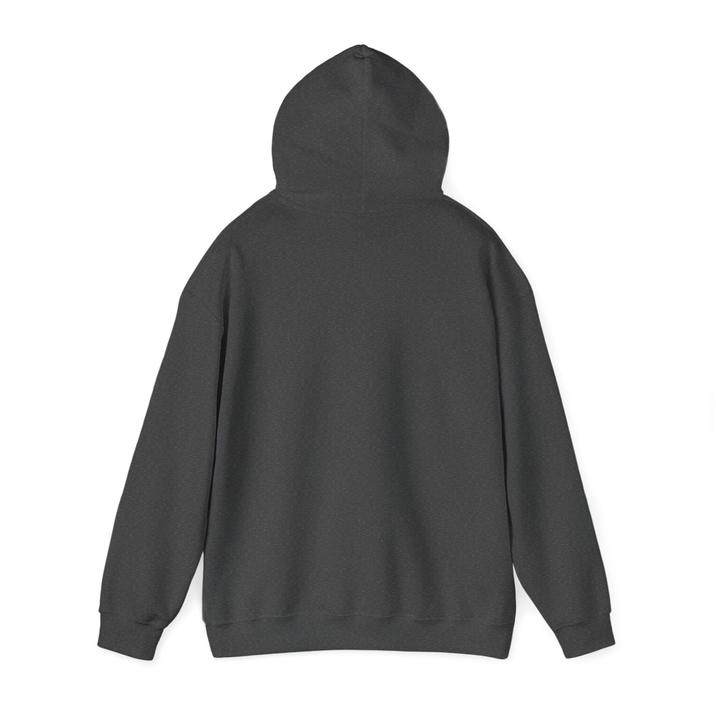 BareBear Cozy Black Bear Hoodie for Nature Lovers