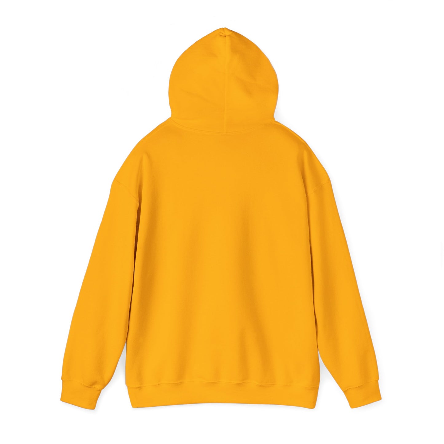 BareBear Cozy Black Bear Hoodie for Nature Lovers