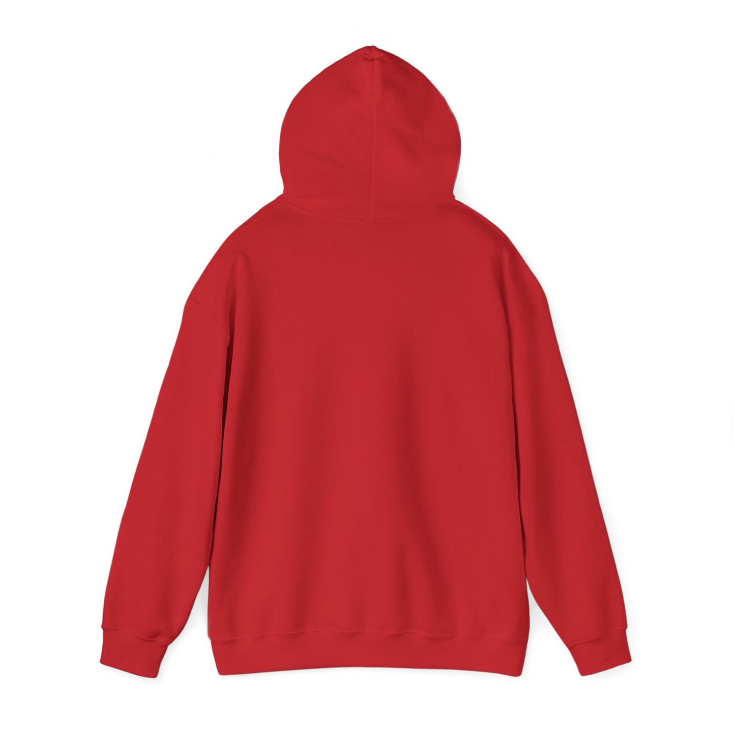BareBear Cozy Black Bear Hoodie for Nature Lovers