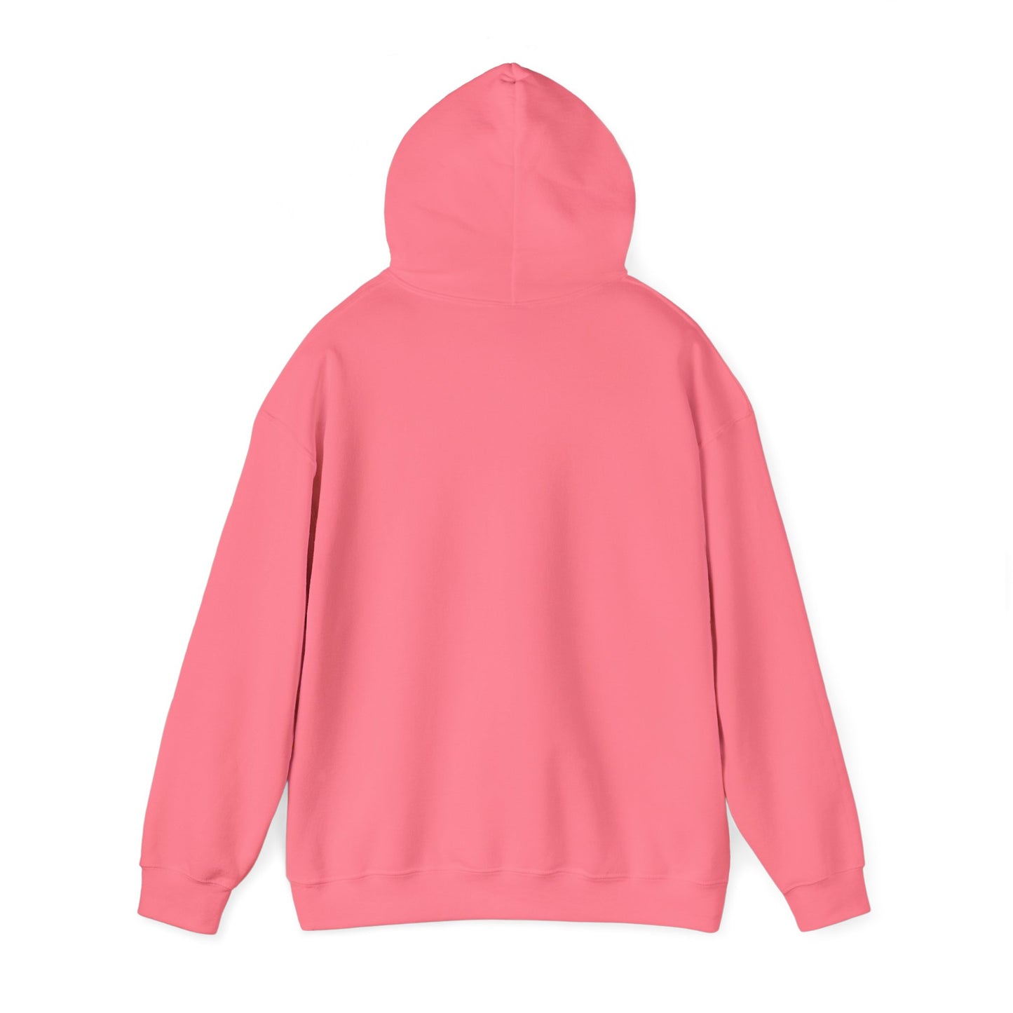BareBear Cozy Black Bear Hoodie for Nature Lovers